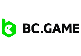 Exploring Payment Options at BC.Game A Comprehensive Guide -938066059