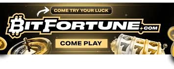 Bitfortune The Ultimate Experience for Live Casino Fans Bitfortune The Ultimate Experience for Live Casino Fans