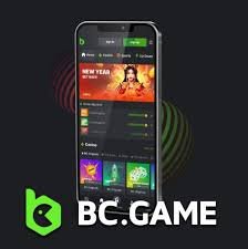 Exploring the Payment Methods for BC Game