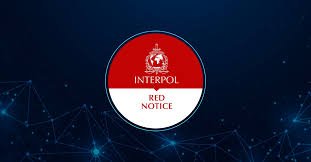 Understanding the Role of Interpol Defense Lawyers 1346063910 Understanding the Role of Interpol Defense Lawyers 1346063910