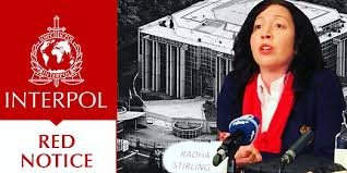 Understanding the Role of Interpol Defense Lawyers 1346466066