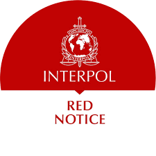 Understanding the Role of Interpol Defense Lawyers 1346466066