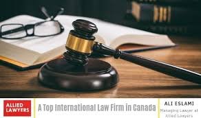Why You Should Contact Lawyers for Professional Legal Assistance