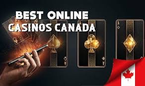Discovering the Best Online Casinos A Comprehensive Guide -231306339 Discovering the Best Online Casinos A Comprehensive Guide -231306339