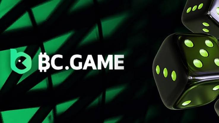 Global Crypto Casino The Future of Online Gaming with BC.Game